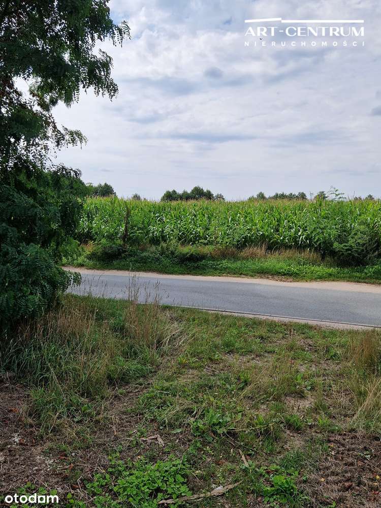 Działka w Serocku z drzewami-5