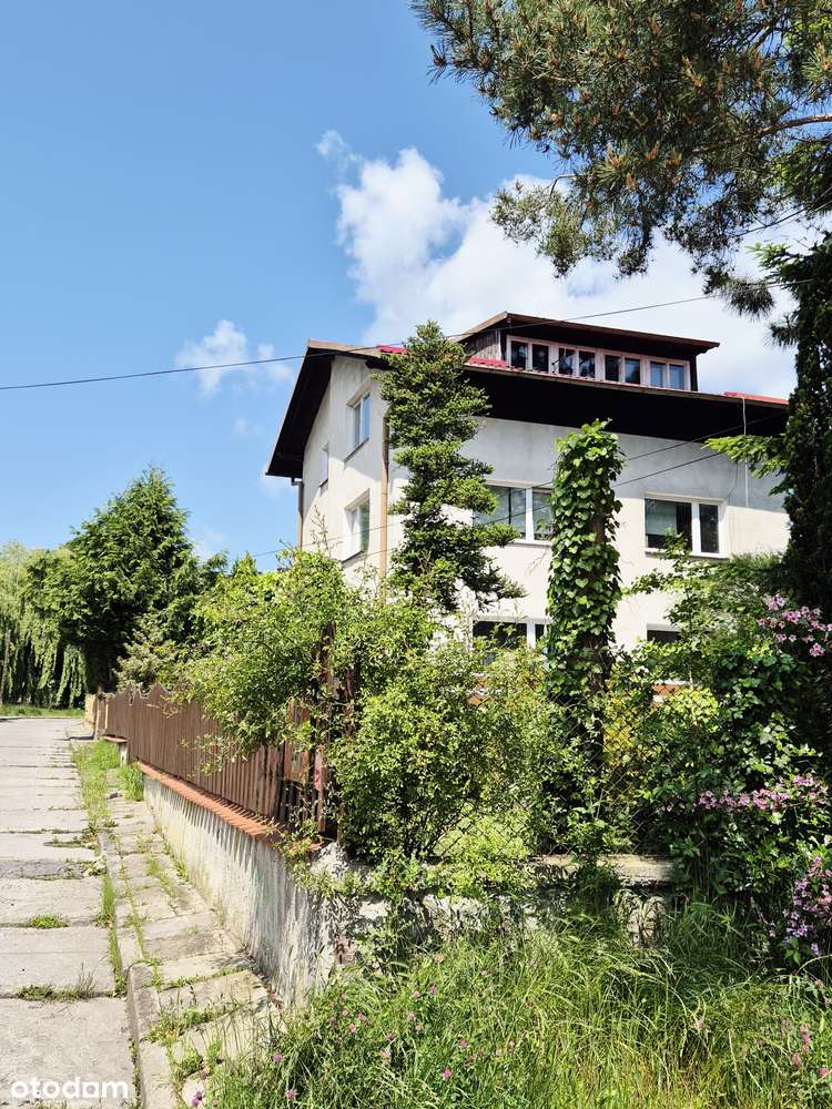 Okazja!!! Atrakcyjna cena duża działka Witomino Leśniczówka - Pełny obrazek: 4/4