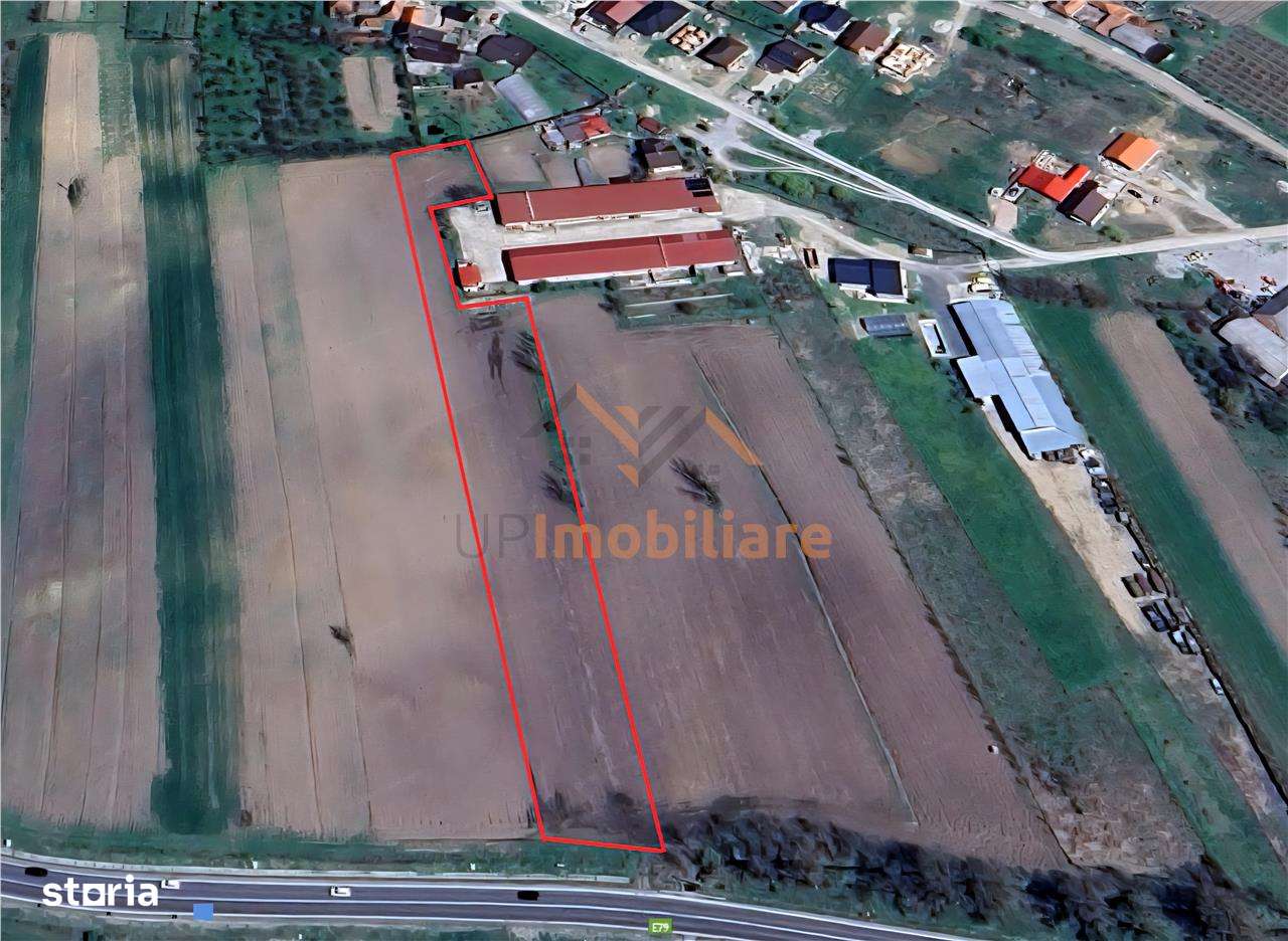 TEREN INTRAVILAN | 4300 MP | HIDISELUL DE SUS | BIHOR - Imagine principală: 3/7