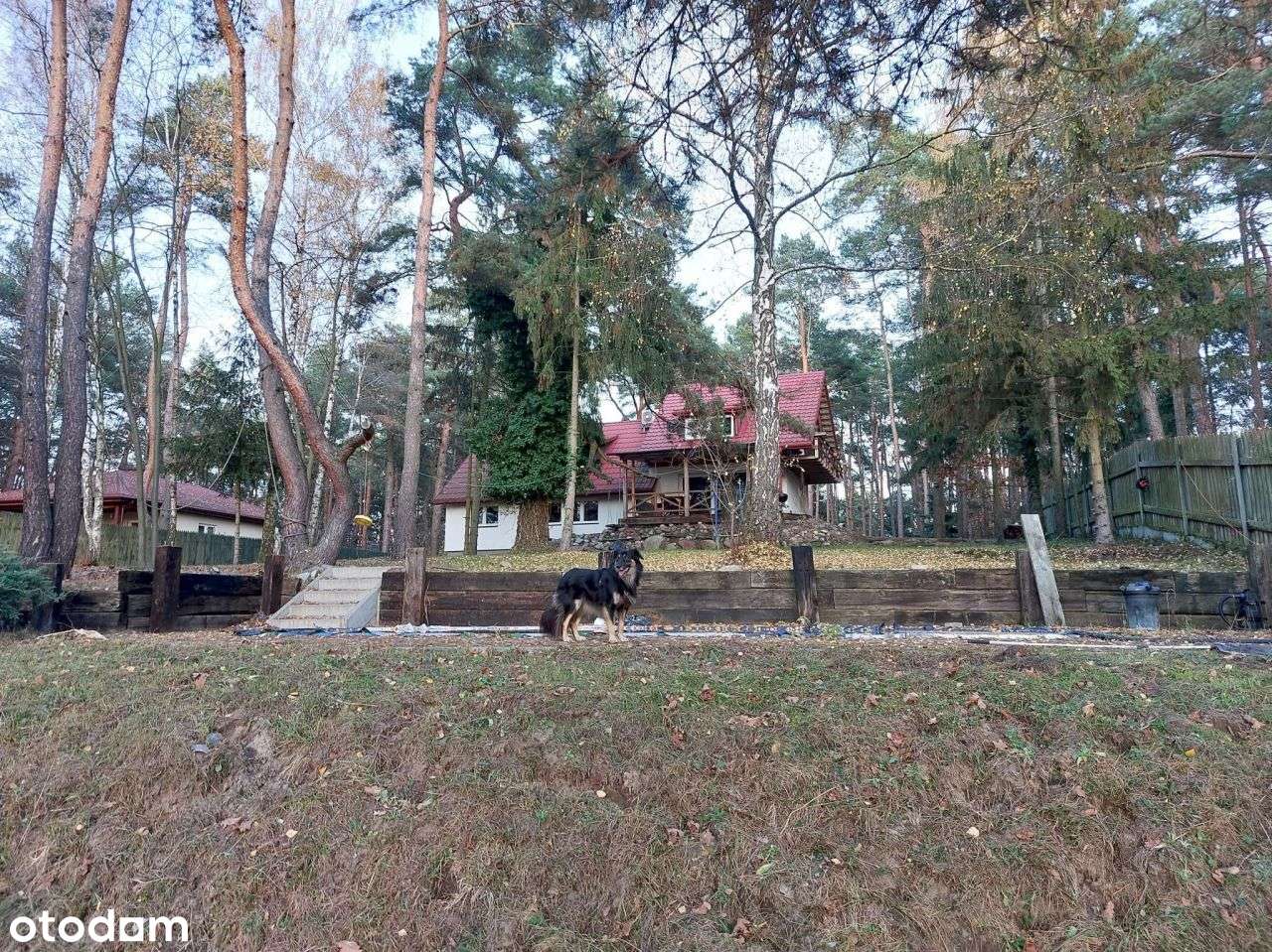 Dom unikatowy//duża działka 1,8ha//Józefów k. Wars-3