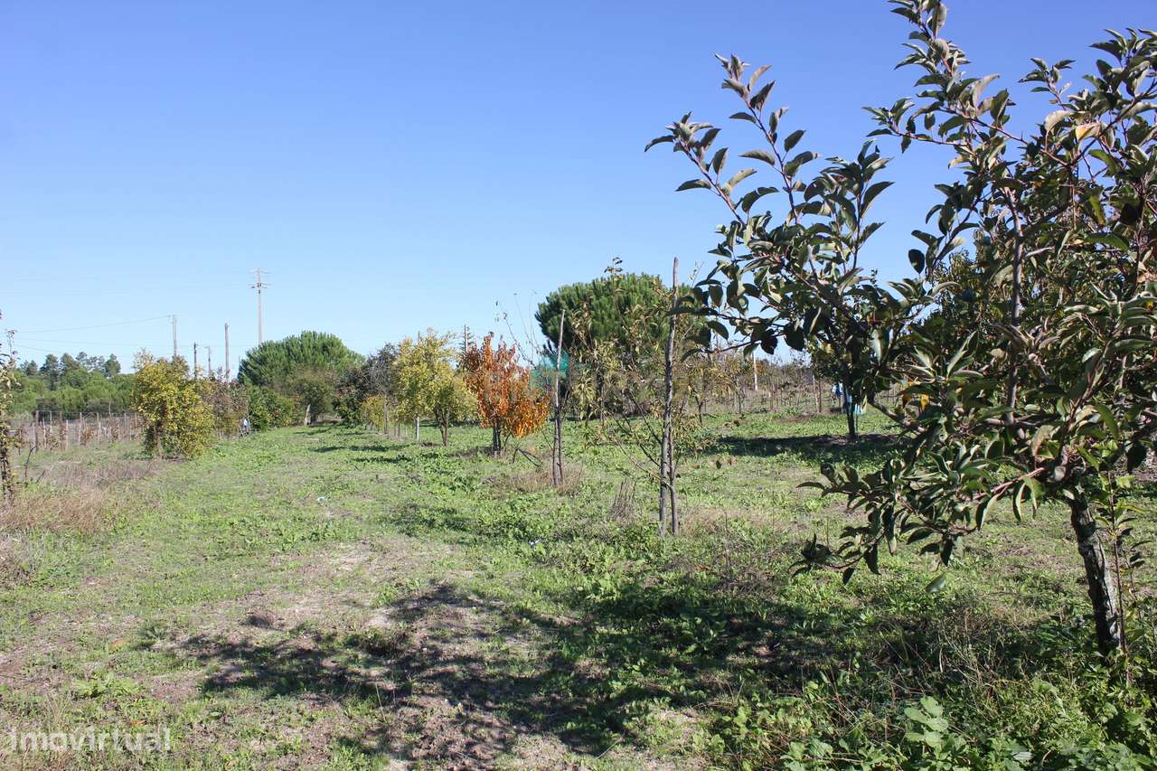 Quinta com Moradia para vender na Herdade de Almada em Foros de Almada-30