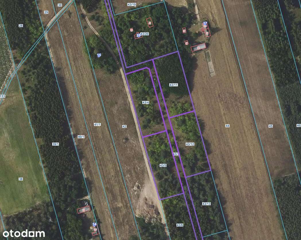 Działki rolne z potencjałem podzabudowę LICYTACJA - Pełny obrazek: 4/5