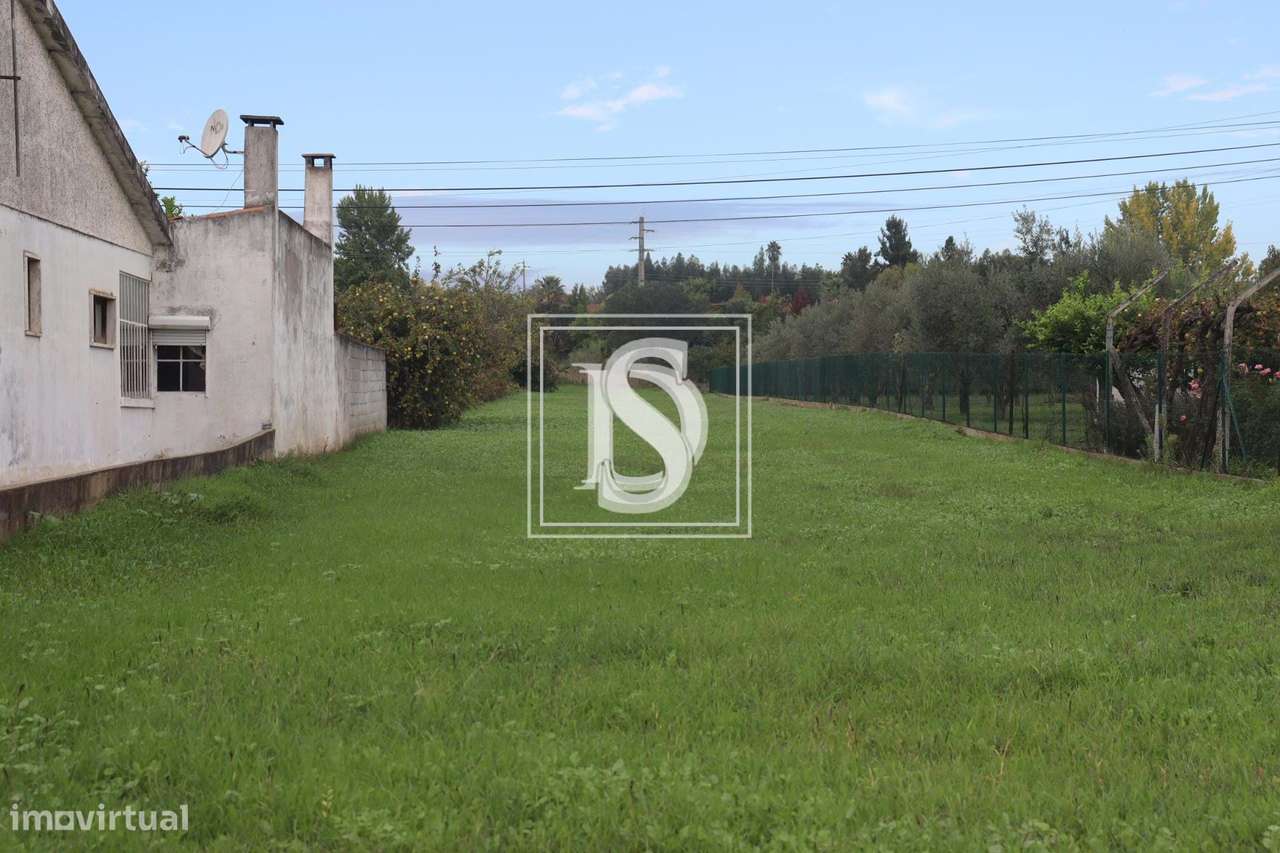 Lote para Construção - Alferrarede - Abrantes - Grande imagem: 3/12
