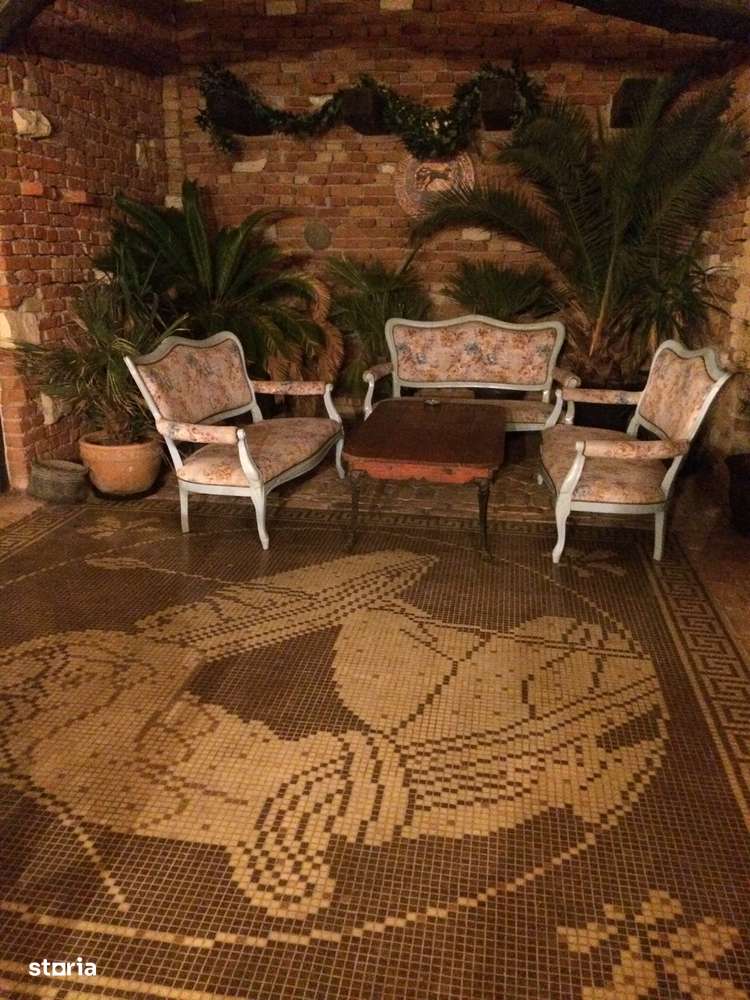 Spatiu comercial-Restaurant plaja salbatica Vadu-9