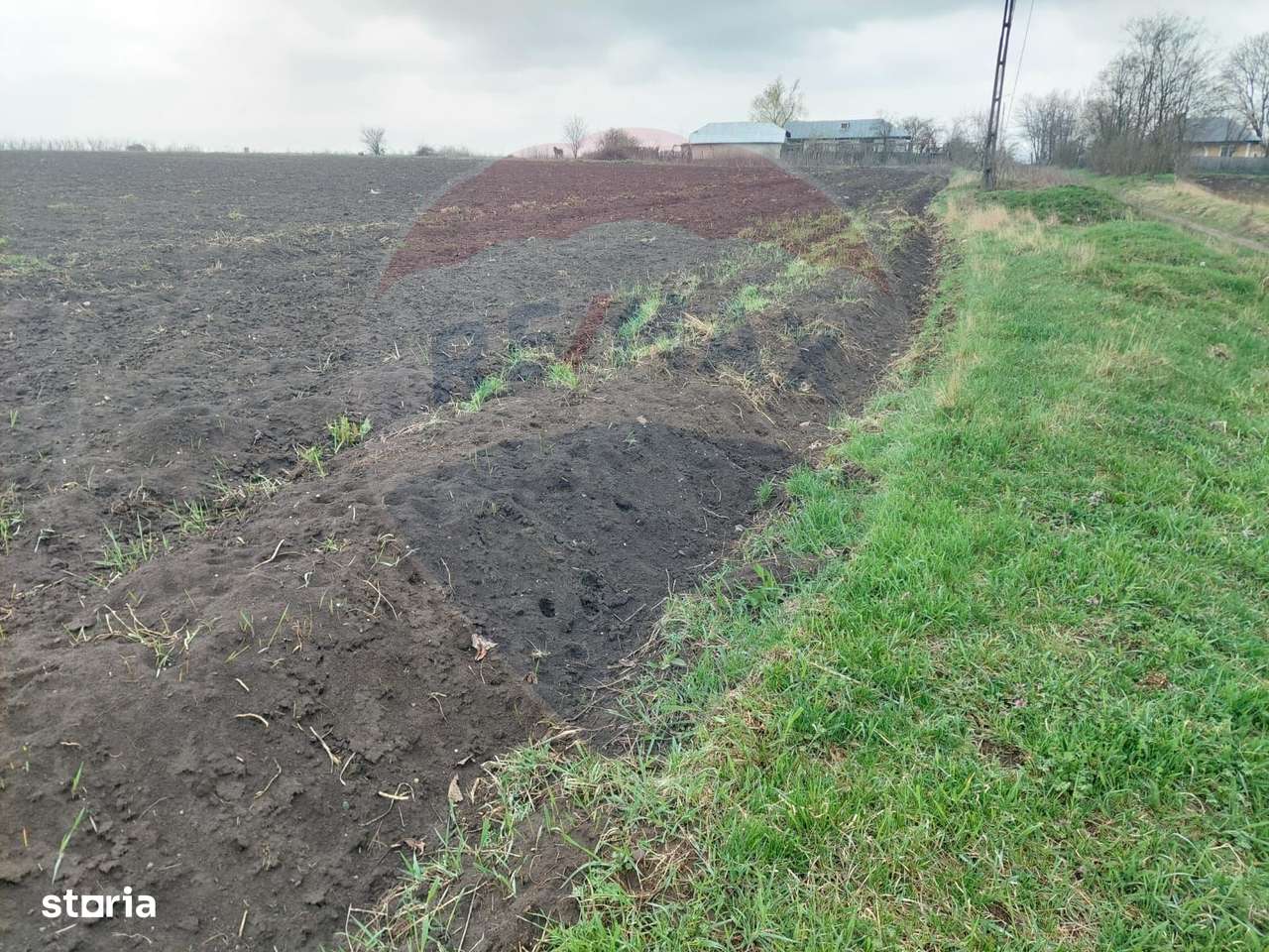 Teren agricol partial intravilan de vanzare in Filipesti jud. Bacau - Imagine principală: 5/5