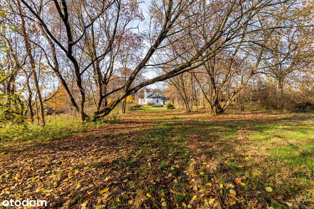 Wyjątkowy Dwór Z Prywatnym Parkiem-13