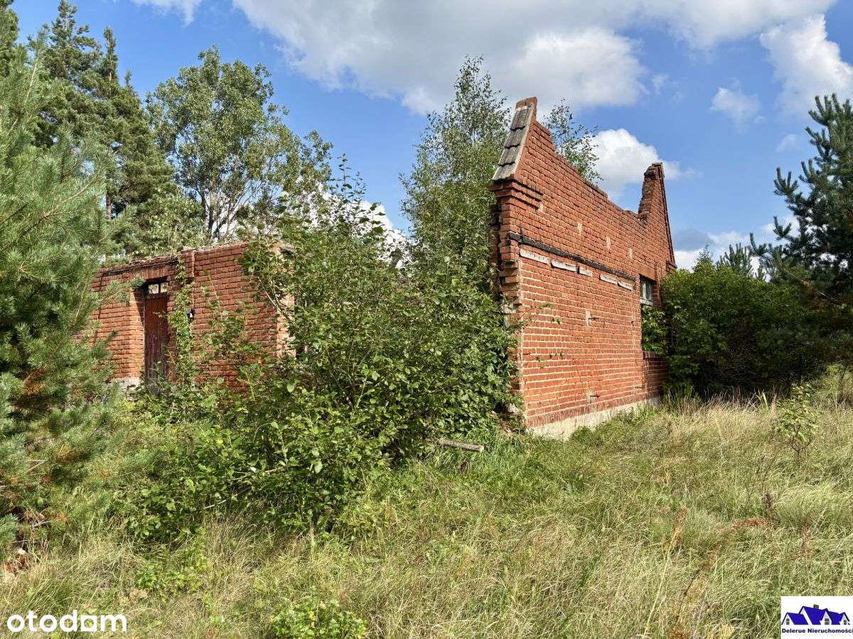 Siedlisko w sąsiedztwie lasu-15