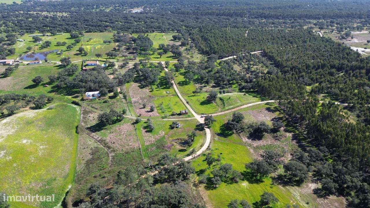Terreno Rústico com 1,8 ha junto à Barragem de Fonte de Serne-7