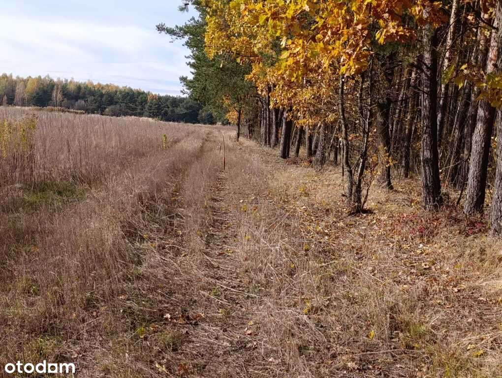 Działka budowlana w Dąbrówce Wyłazy, przy lesie-6