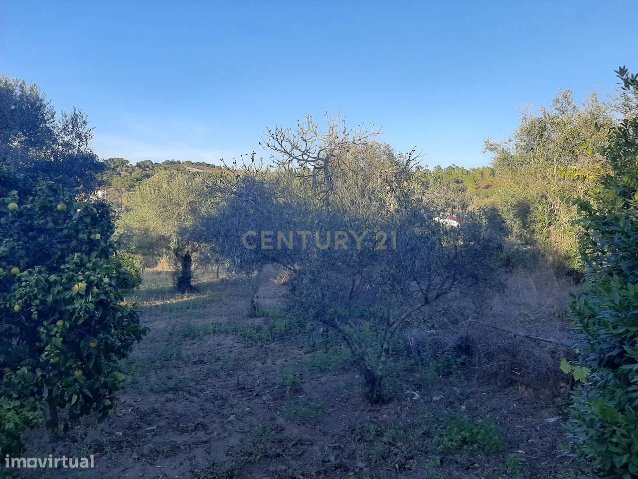 Moradias com terreno em Mouriscas, Abrantes-22