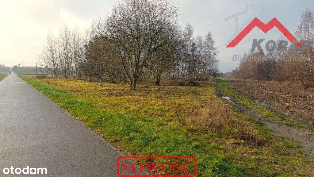 wydane prawomocne Wz-5