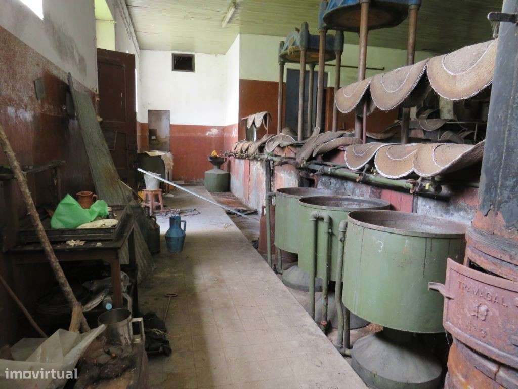 Lagar de Azeite com 380 m2 inativo à 5 anos - Grande imagem: 5/12