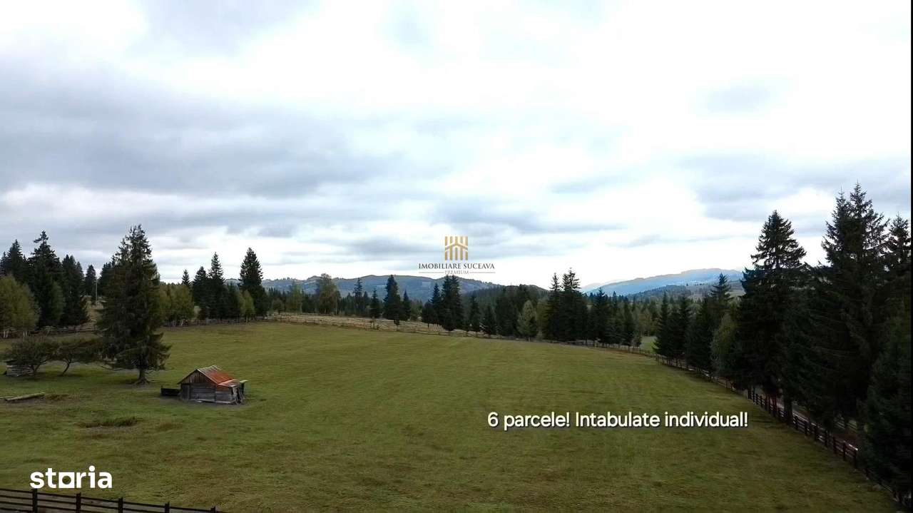 Teren 2804 mp, la munte! In Bucovina – Fundu Moldovei! - Imagine principală: 4/20