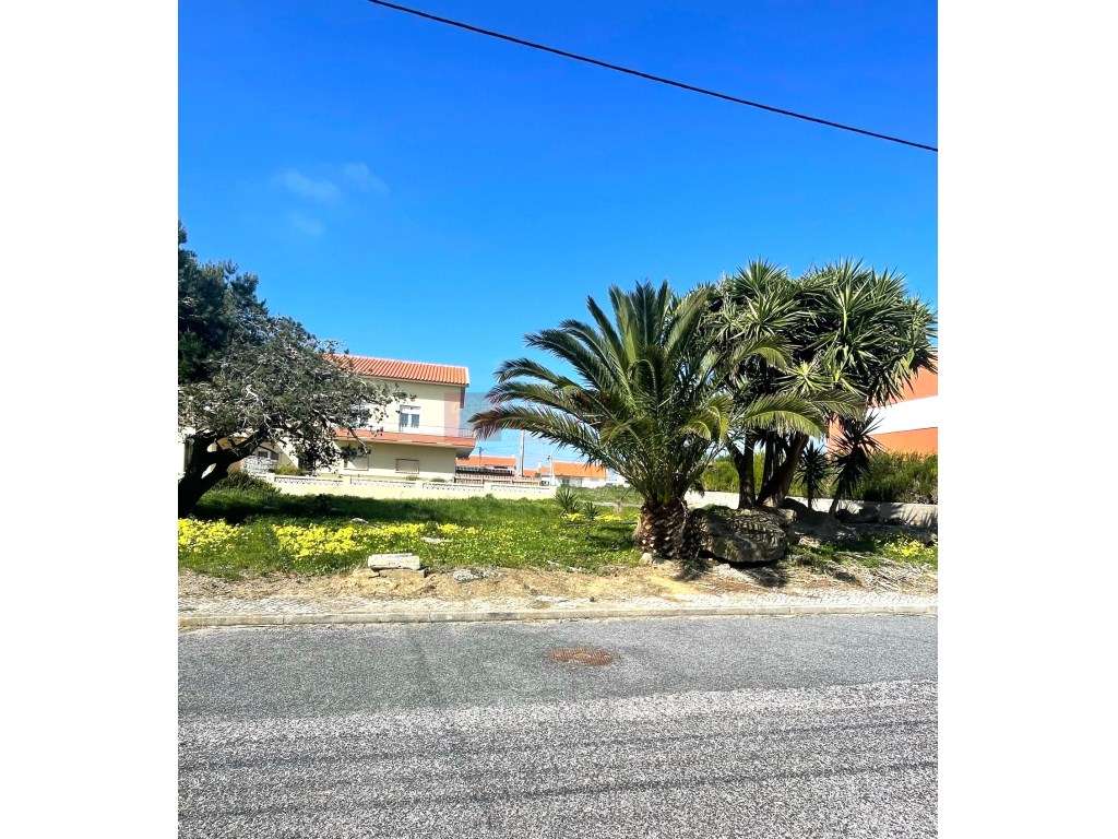 Ericeira -a 9 Km - Lote para moradia - a 800 mts da Praia São Lourenço - Grande imagem: 5/12