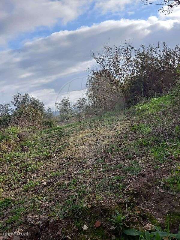 Terreno  para venda - Grande imagem: 2/8