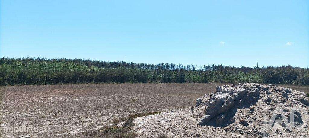 Terreno em Ferrel de 3440,00 m2 - Grande imagem: 4/30