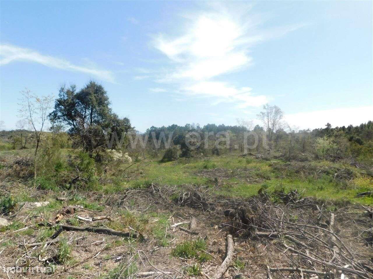 Terreno / Fundão, Póvoa da Atalaia - Grande imagem: 3/14