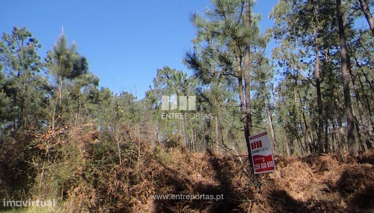 Venda de Terreno, Subportela, Viana do Castelo - Grande imagem: 1/22