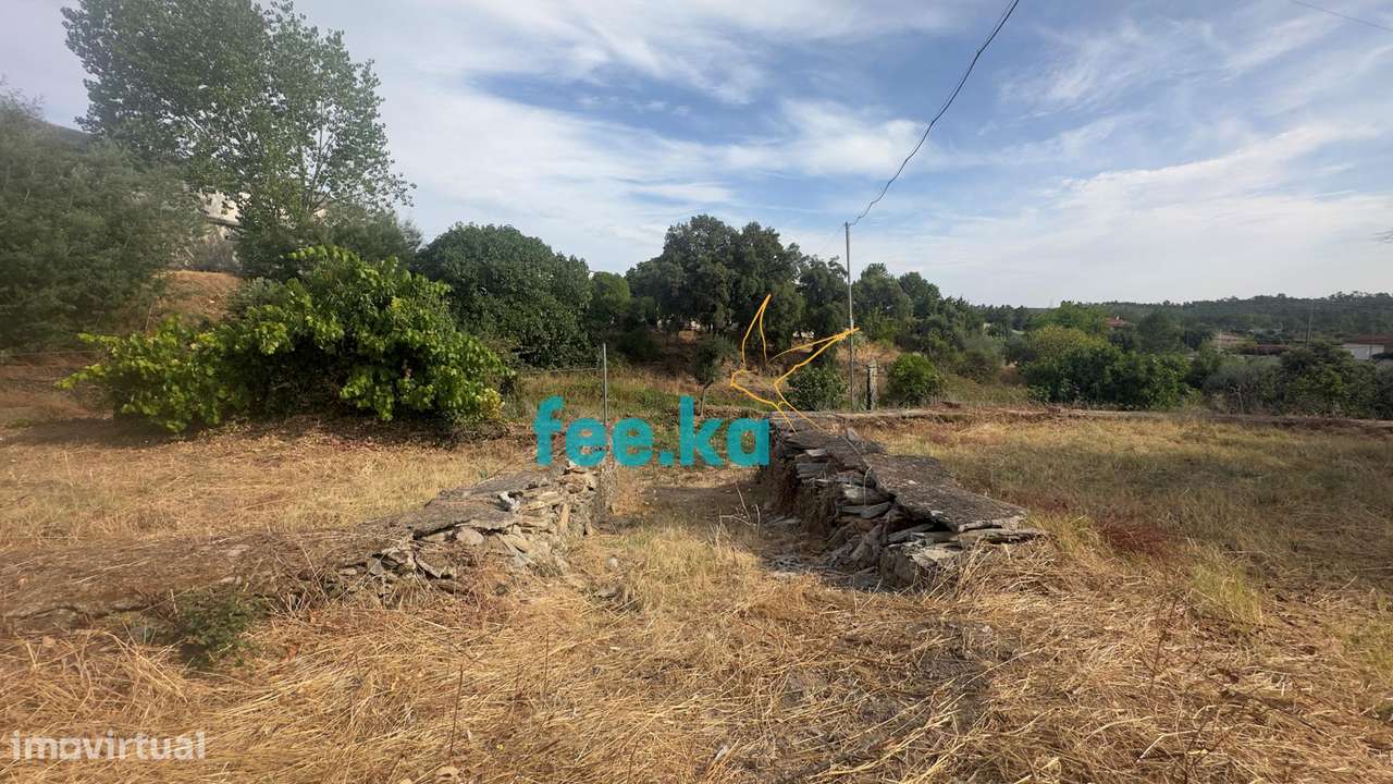 Quintinha-26