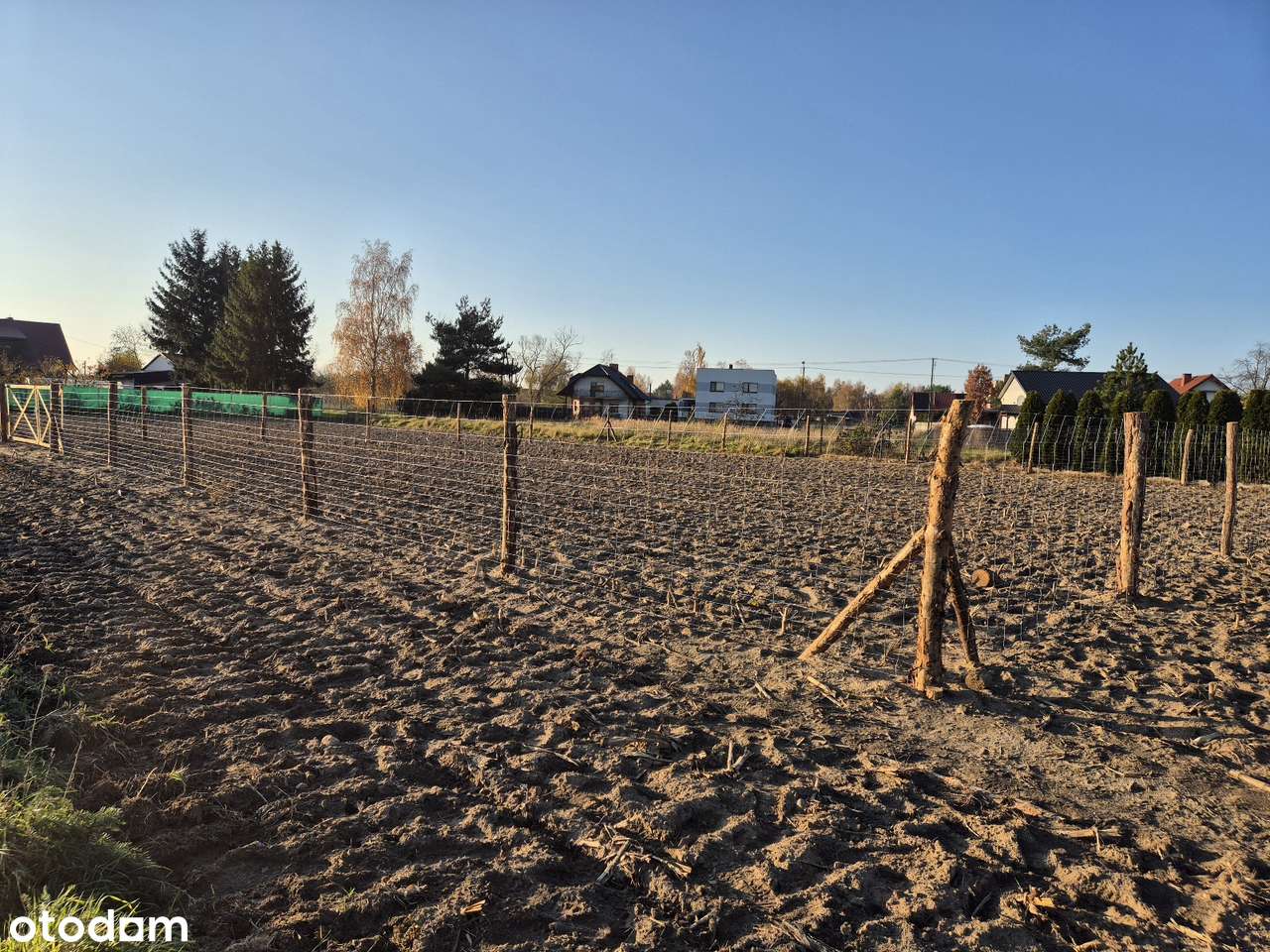 Działka budowlana 706 m2 - Krzycko Wielkie - Pełny obrazek: 2/5