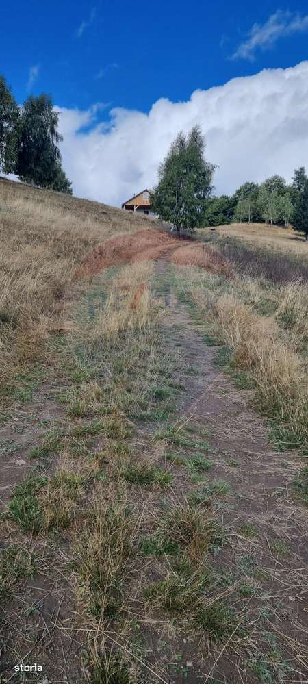Teren  extravilan - Imagine principală: 5/13