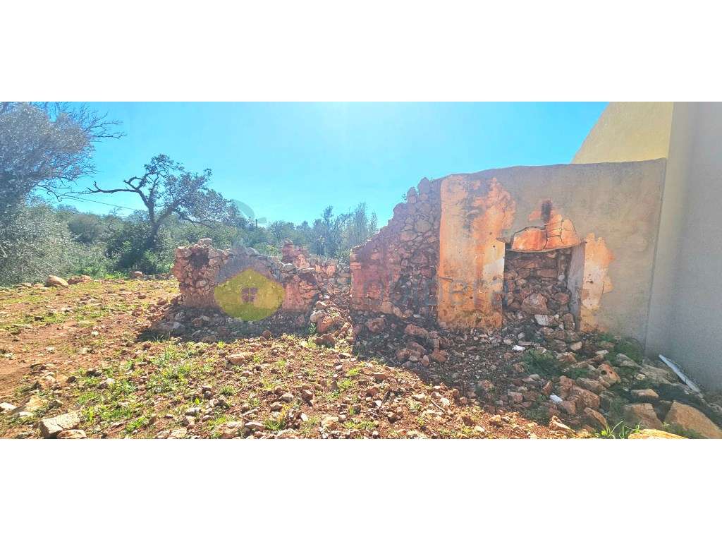 Terreno Plano com 12.040m2 com Ruína á venda no Barrocal - Grande imagem: 2/14