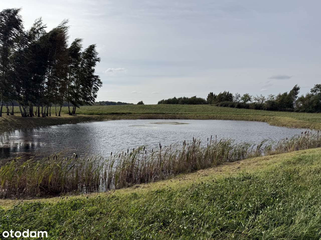 Działka budowlana 6,5ha na Warmii  Gołogóra-Skolity-Nowe Kawkowo - Pełny obrazek: 4/20