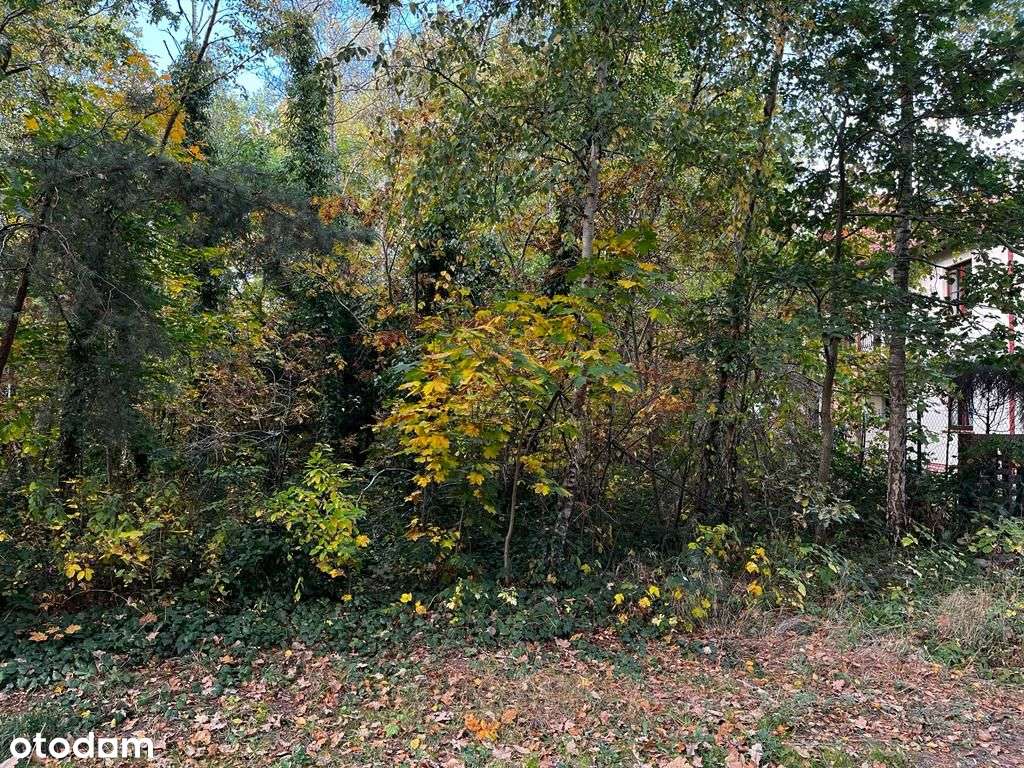 Działka nad morzem na sprzedaż - Pobierowo!-4