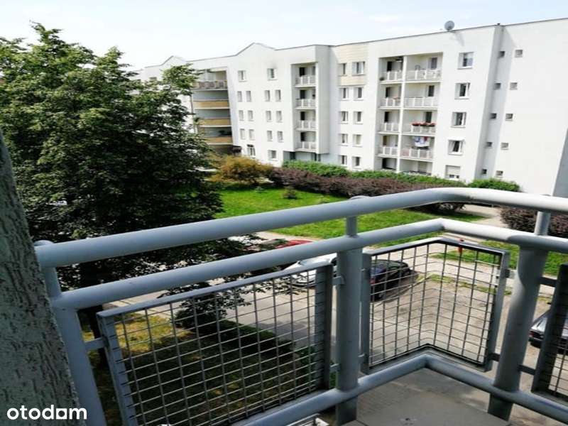 Na wynajem mieszkanie 3 pokojowe - Pełny obrazek: 5/19