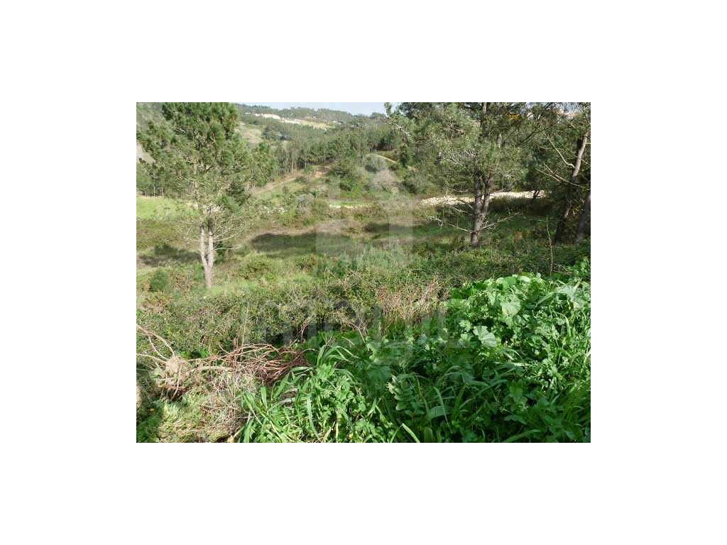 Terreno rústico na Ericeira - Grande imagem: 2/5