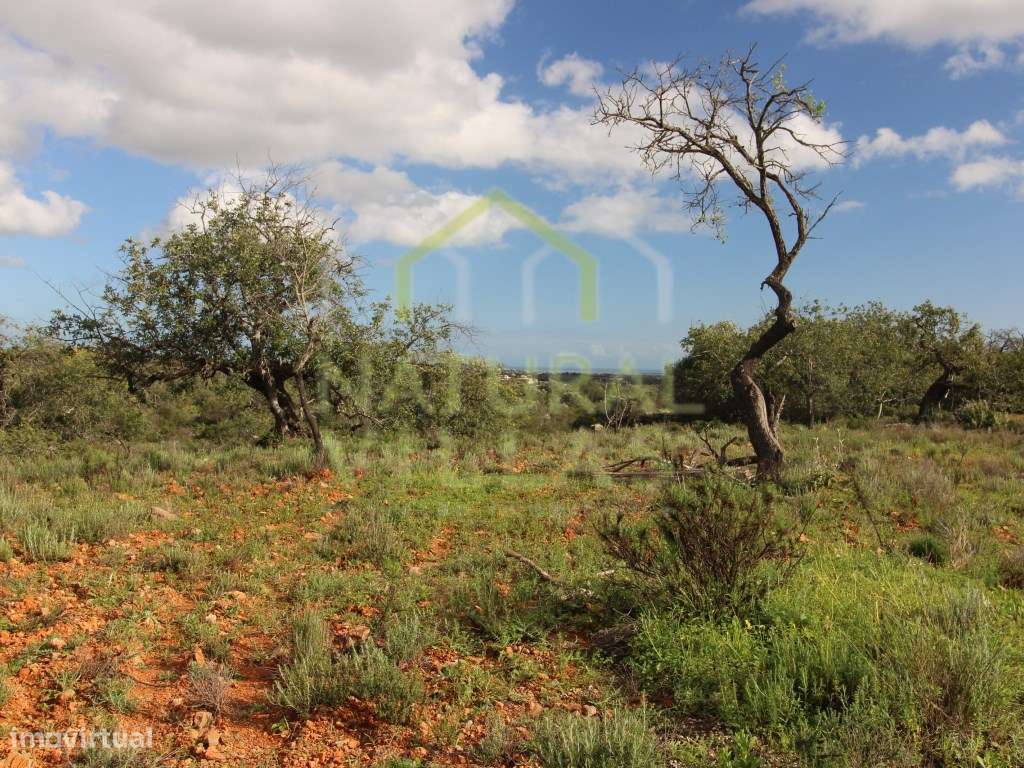Terreno Rústico junto a Estrada em Vale de Gralhas, Estoi - Grande imagem: 3/5