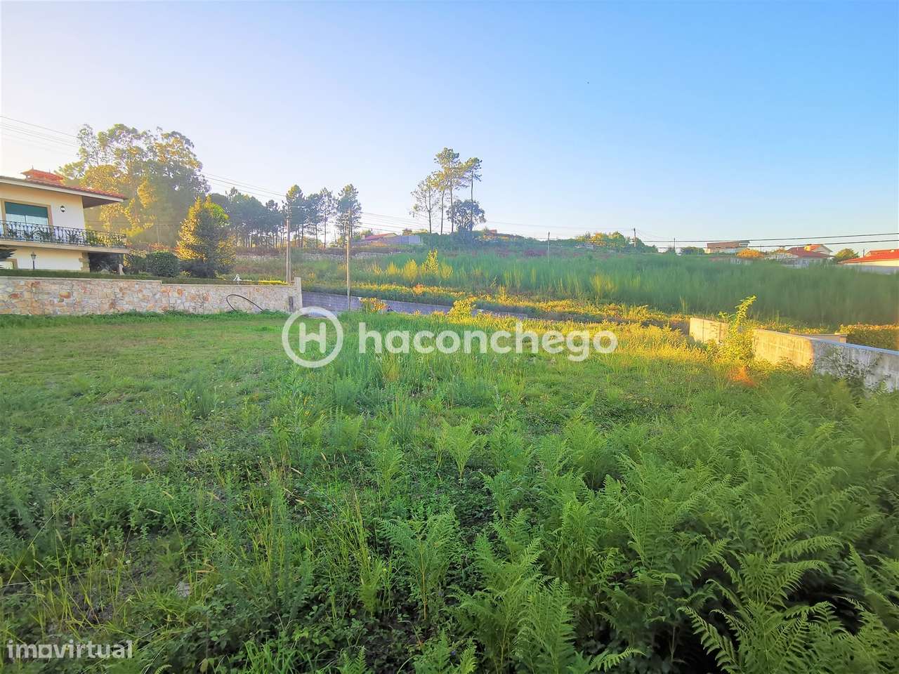 Terreno para construção Várzea Barcelos - Grande imagem: 5/10