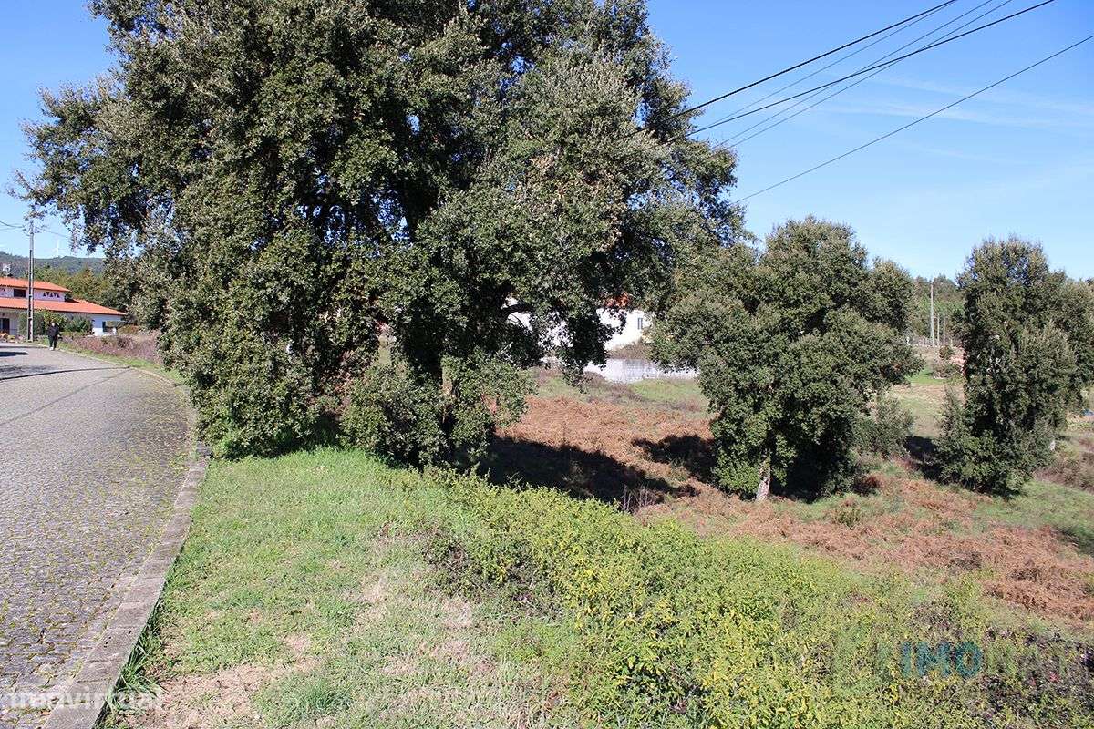 Lote de Terreno - Grande imagem: 4/12