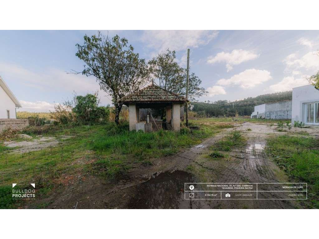 Propriedade única às portas da Figueira da Foz - Grande imagem: 5/52