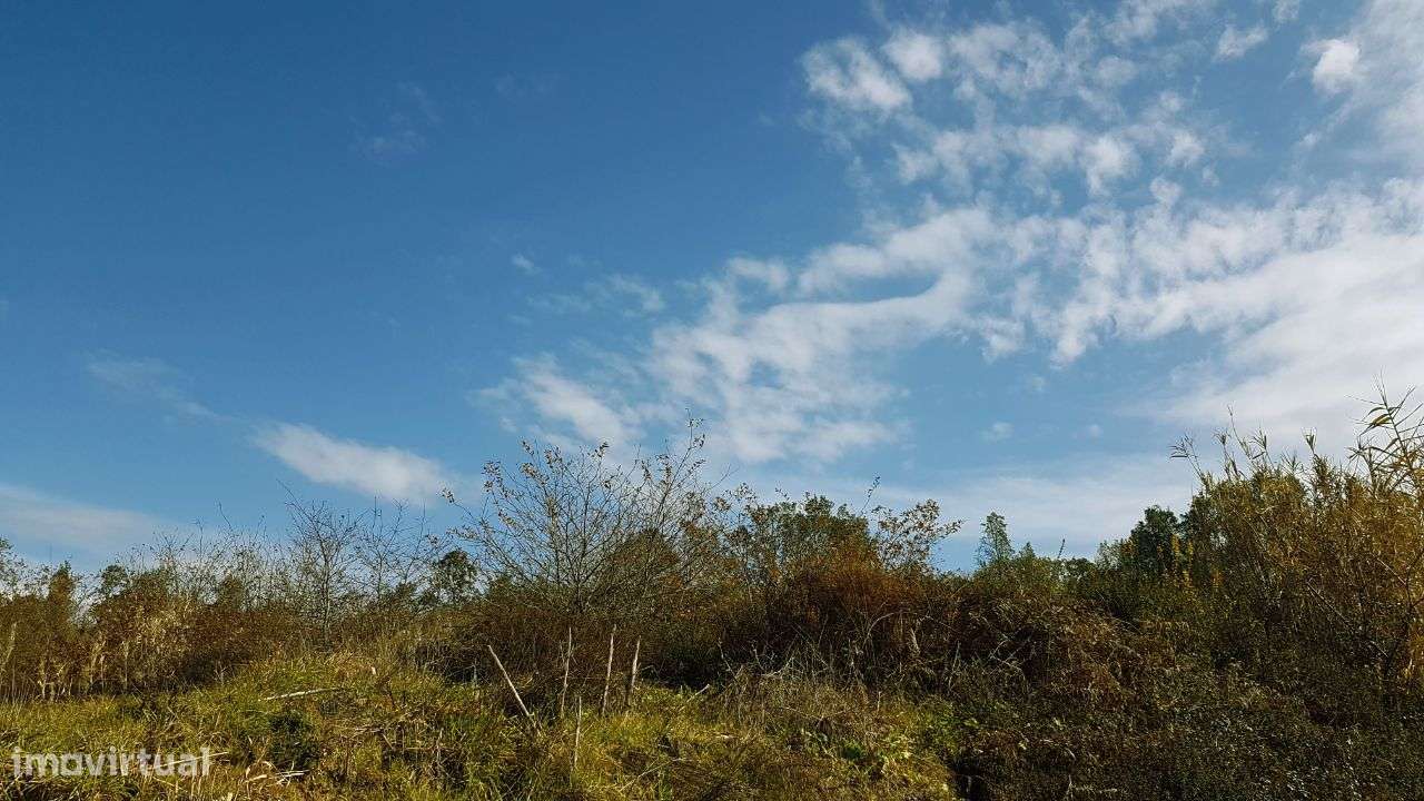 Quinta na Bairrada-8