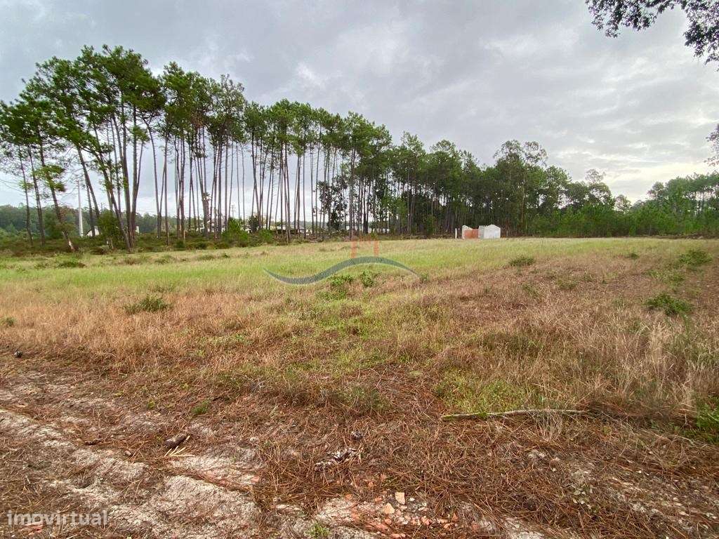 Terreno Florestal - Monte Redondo - Grande imagem: 5/18