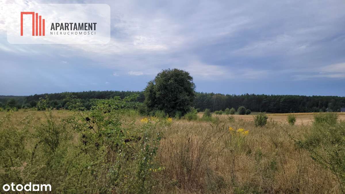 Tylko u nas! Świetna lokalizacja, cisza! - Pełny obrazek: 4/5