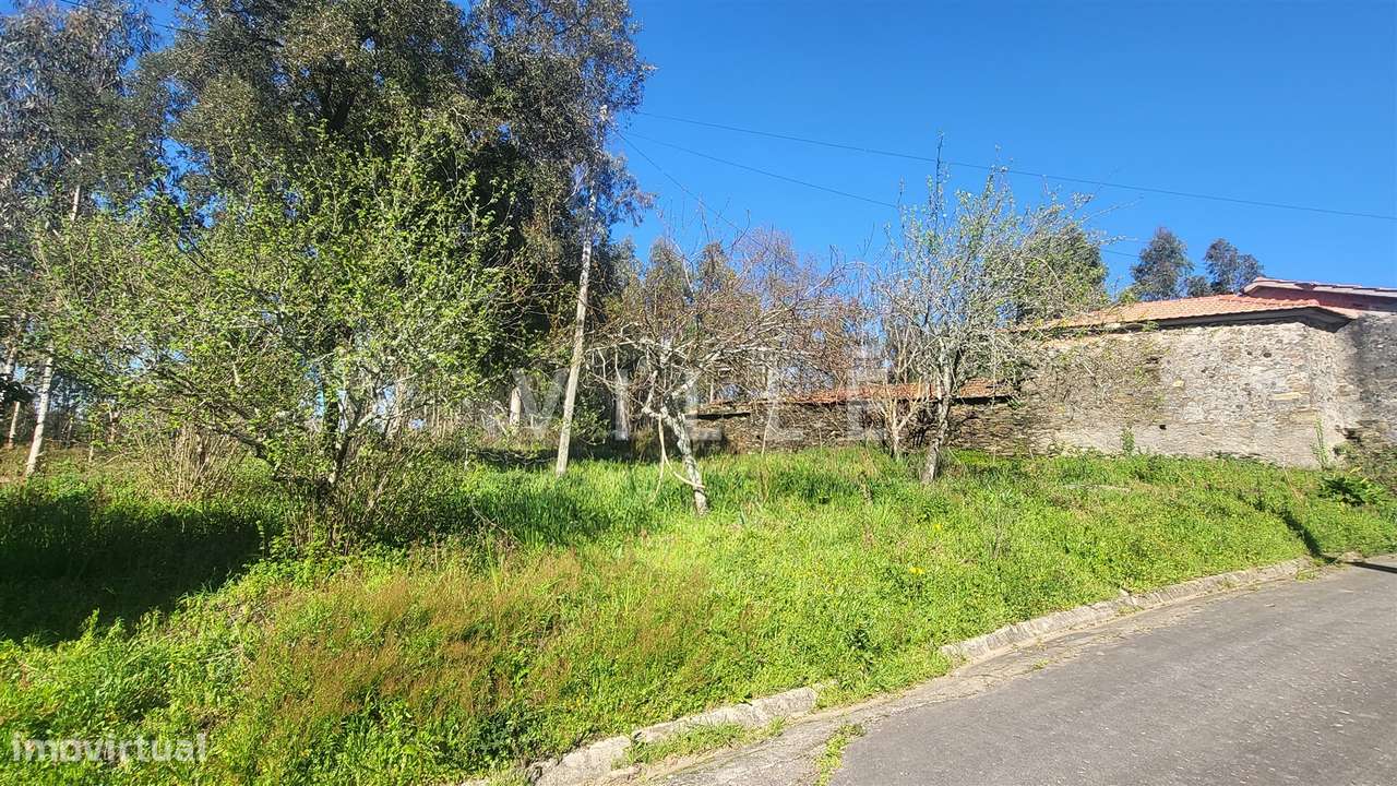 Terreno  Venda em Préstimo e Macieira de Alcoba,Águeda - Grande imagem: 5/19