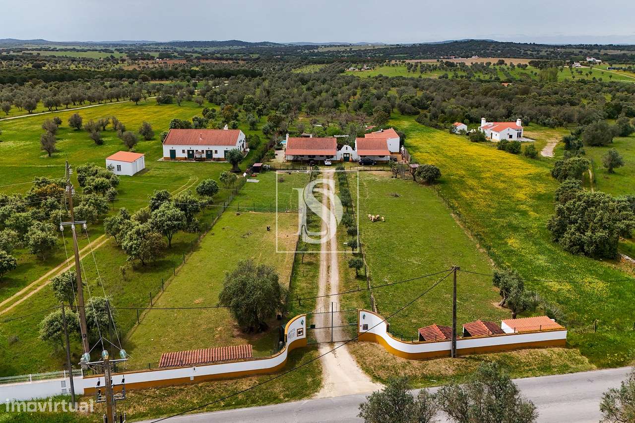 Quinta T9 Venda em Vimieiro,Arraiolos-0