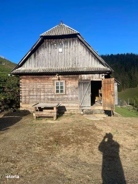 Vind casa la munte Zona Baisoara Muntele Bocului - Imagine principală: 5/6