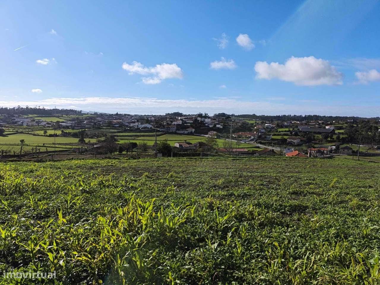 Terreno  Venda em Macieira de Rates,Barcelos - Grande imagem: 3/22
