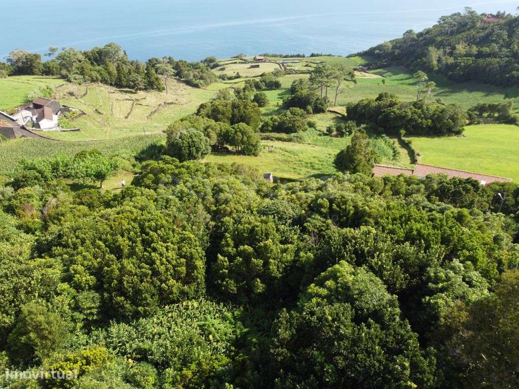Terreno com Vista Mar e Potencial de Construção , Prainha, São Roqu... - Grande imagem: 4/14