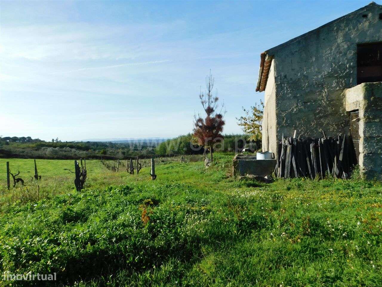 Quinta / Gouveia, São Paio - Grande imagem: 4/12