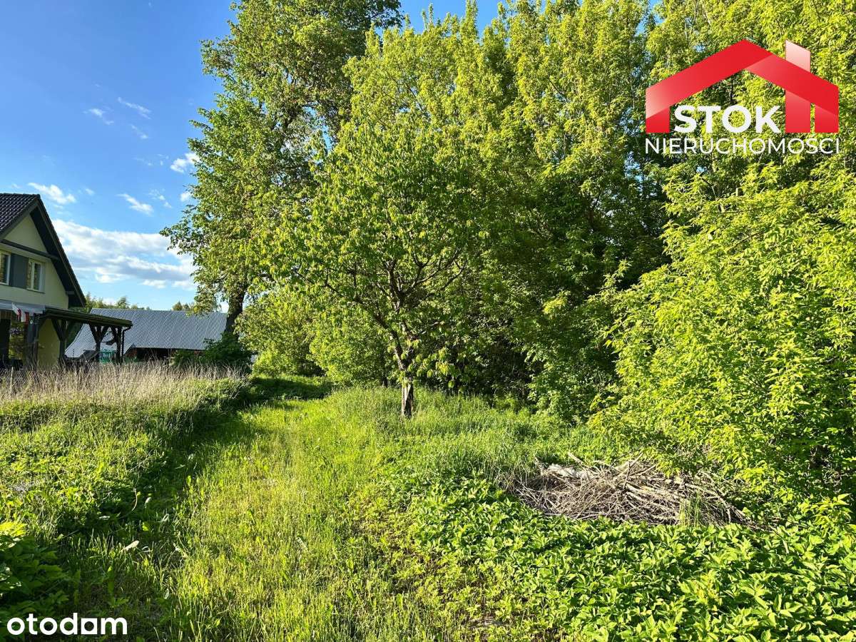 Na sprzedaż działka siedliskowa Baranki - Pełny obrazek: 4/6