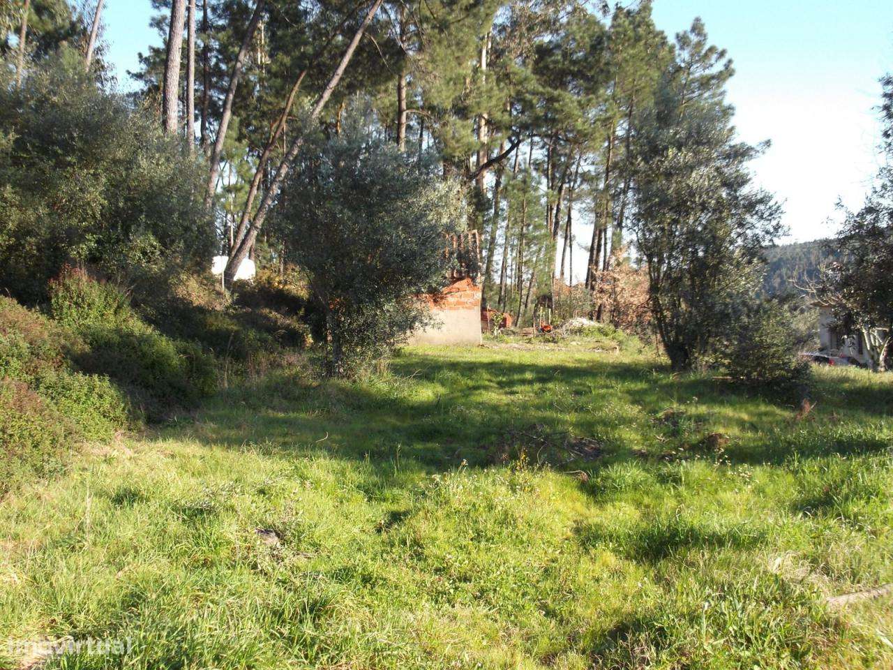 Excelente terreno para construção - Grande imagem: 3/4