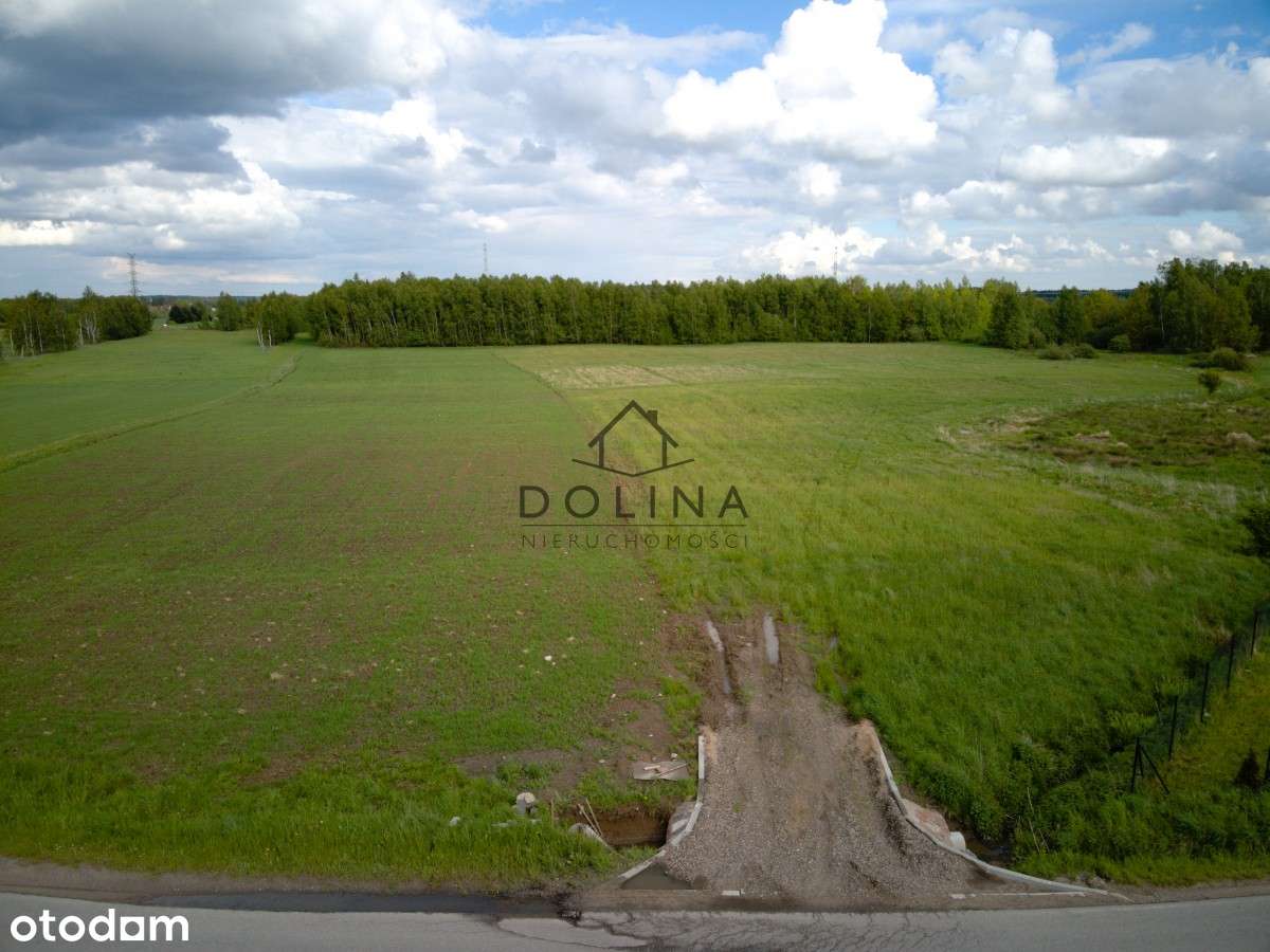 Nowy Kompleks Działek W Przyjaźni ! - Pełny obrazek: 4/5