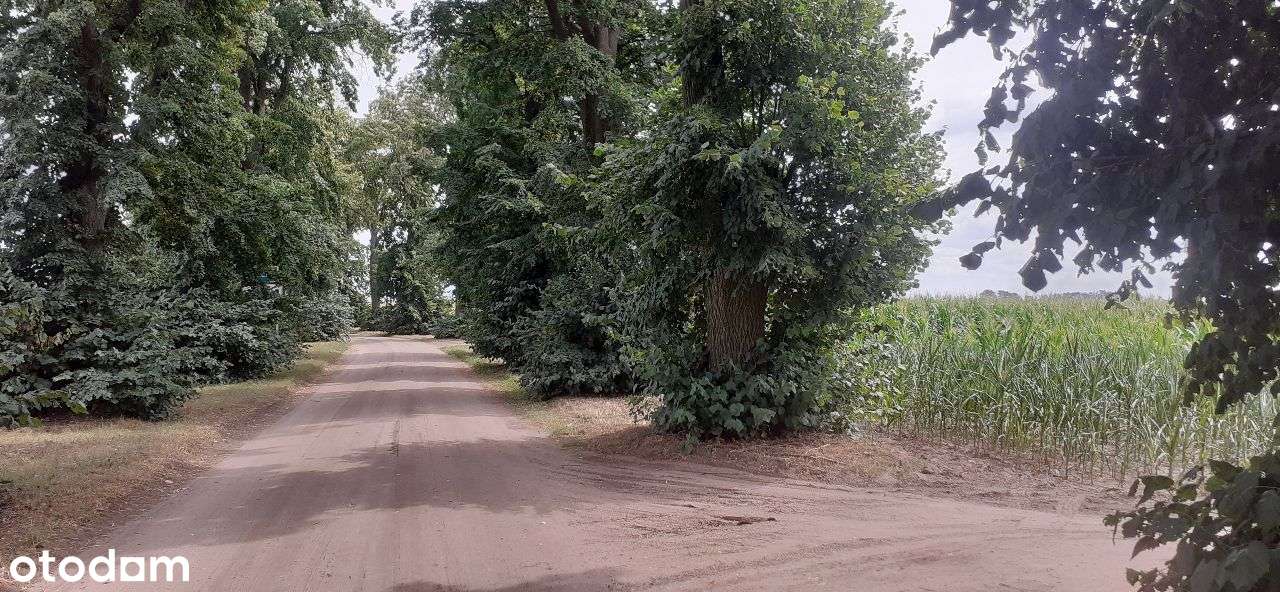 Działka budowlana Niepruszewo okolice, Otusz - Pełny obrazek: 4/12