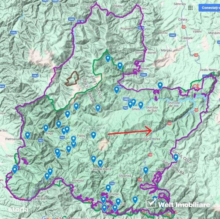 Se vinde teren cat un munte in Apuseni - Poiana Horea-18
