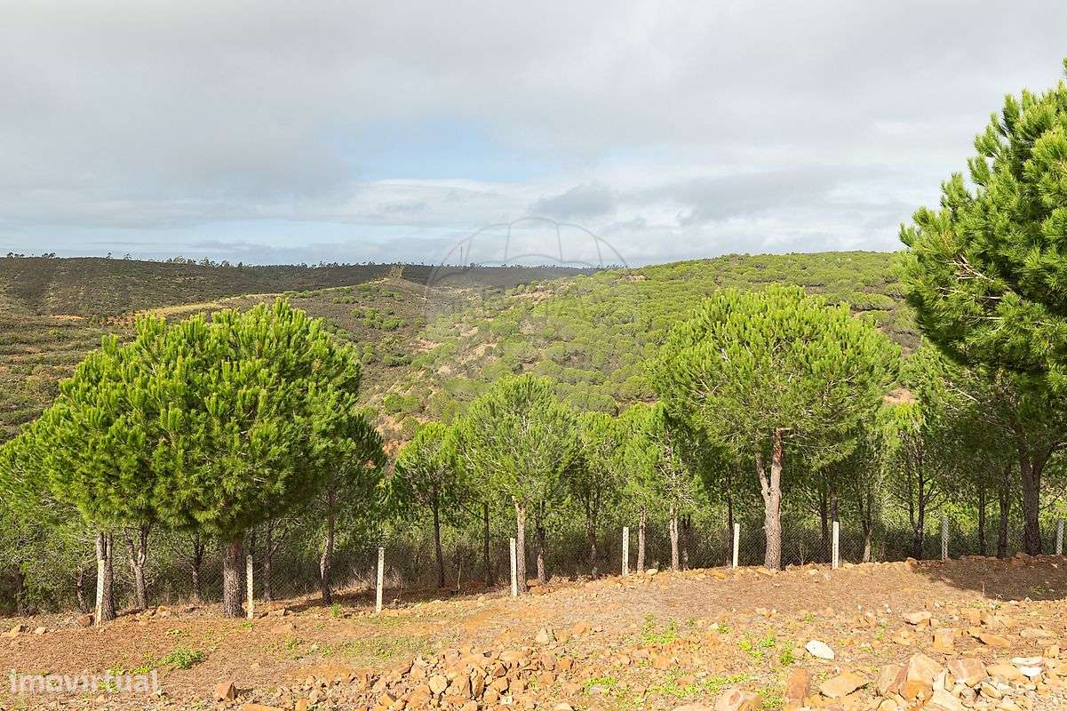 Quinta T6 para venda-46