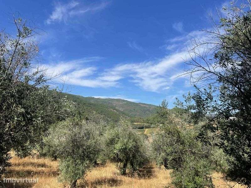 Monte/Herdade em pleno parque natural - Grande imagem: 4/11